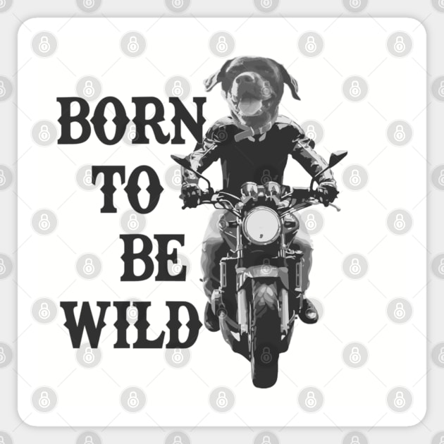 Born to Be Wild Biker Dog Sticker by Yule